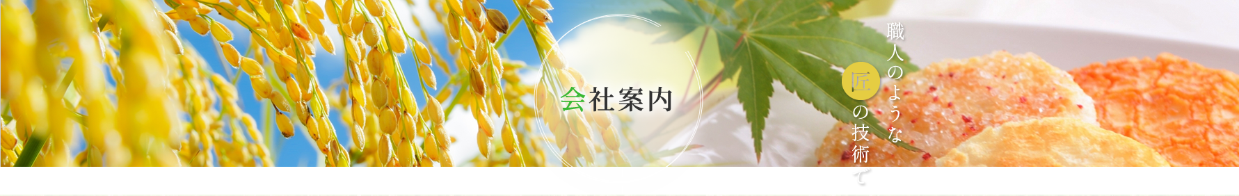 会社案内