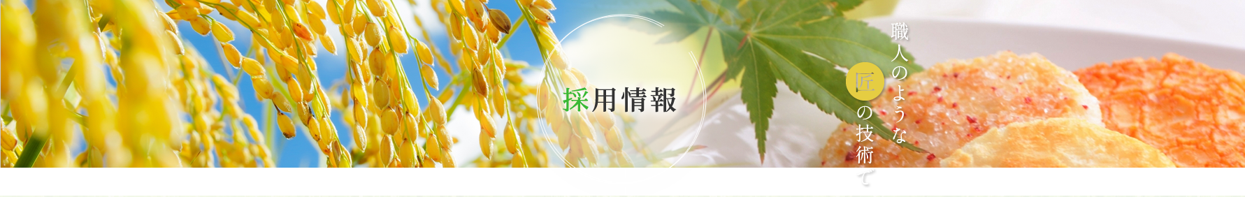 採用情報